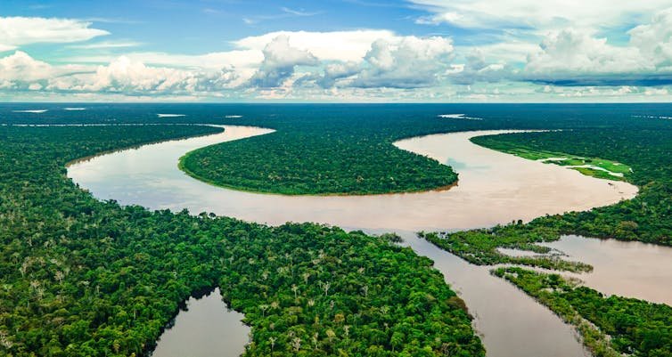 Amazon river from above