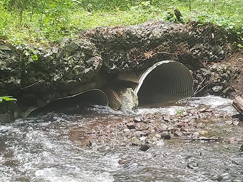 Brooksvale Culvert at Naugatuck State Forest