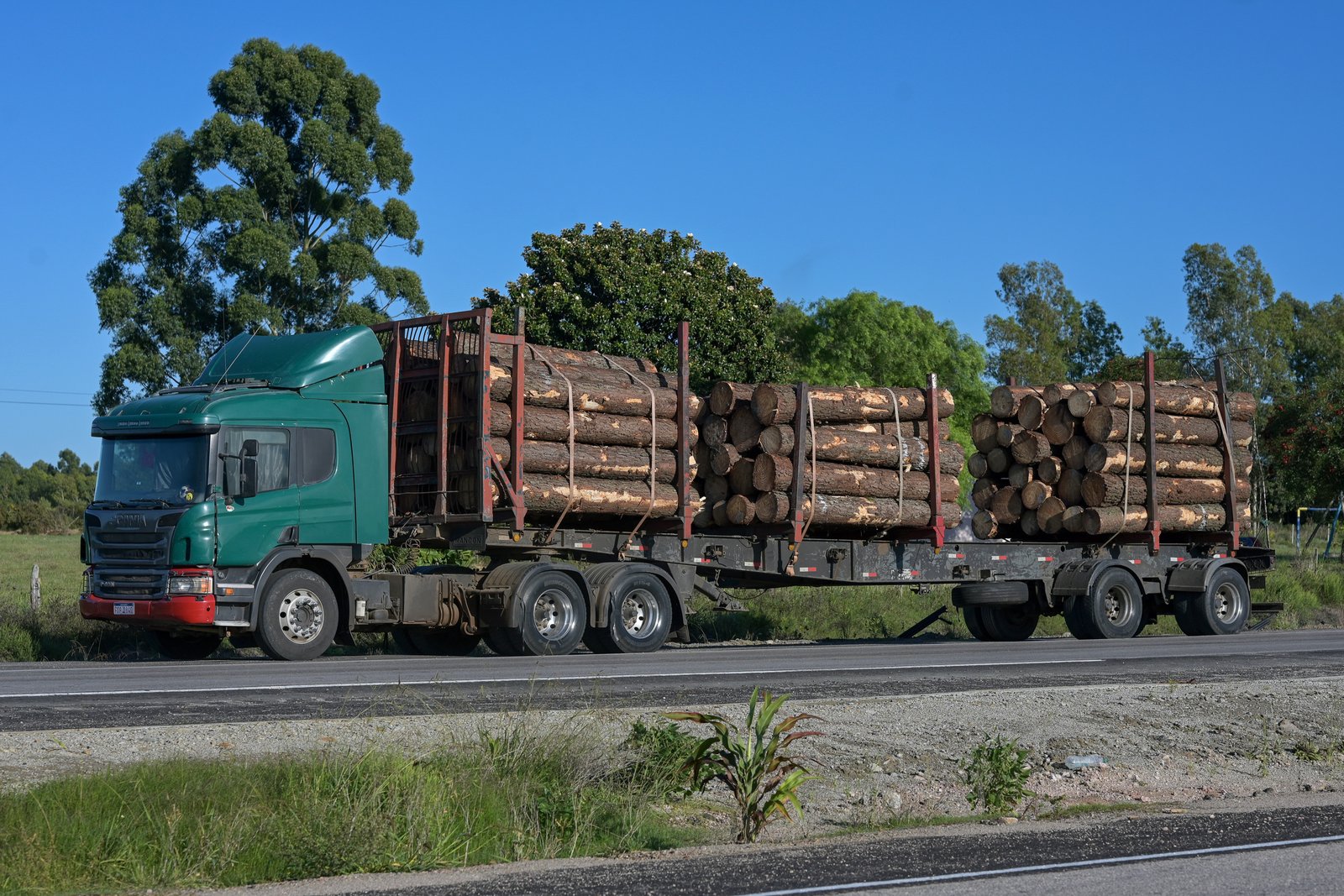 truck loaded with logs