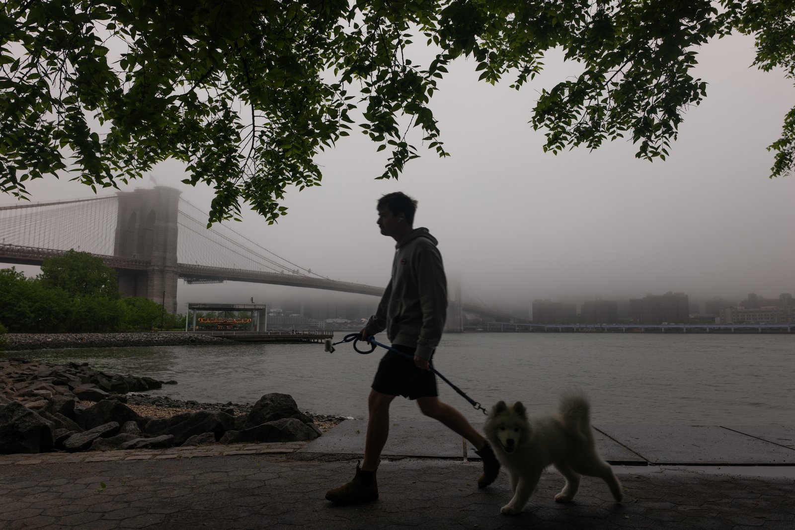 An atmospheric river storm is leading to a stickier week for East Coast cities. Much of the eastern U.S. will see dew points rise this month, making the climate uncomfortable and unsafe