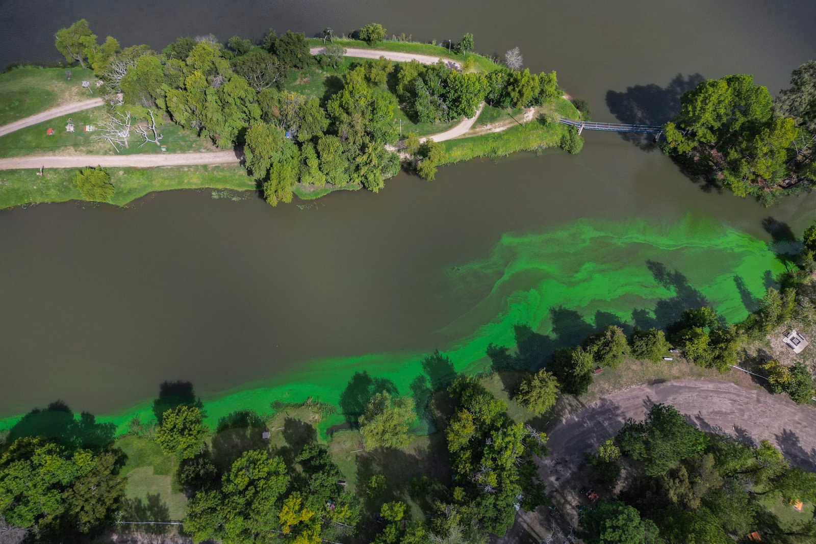 aerial view of green blooms of cyanobacteria on river