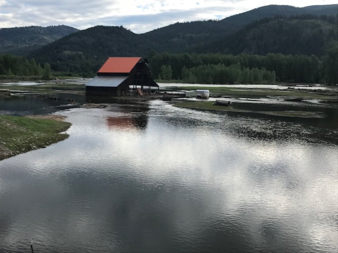 The Granby River has cut new channels up the "north fork," near Grand Forks. Farms have been marooned on islands.