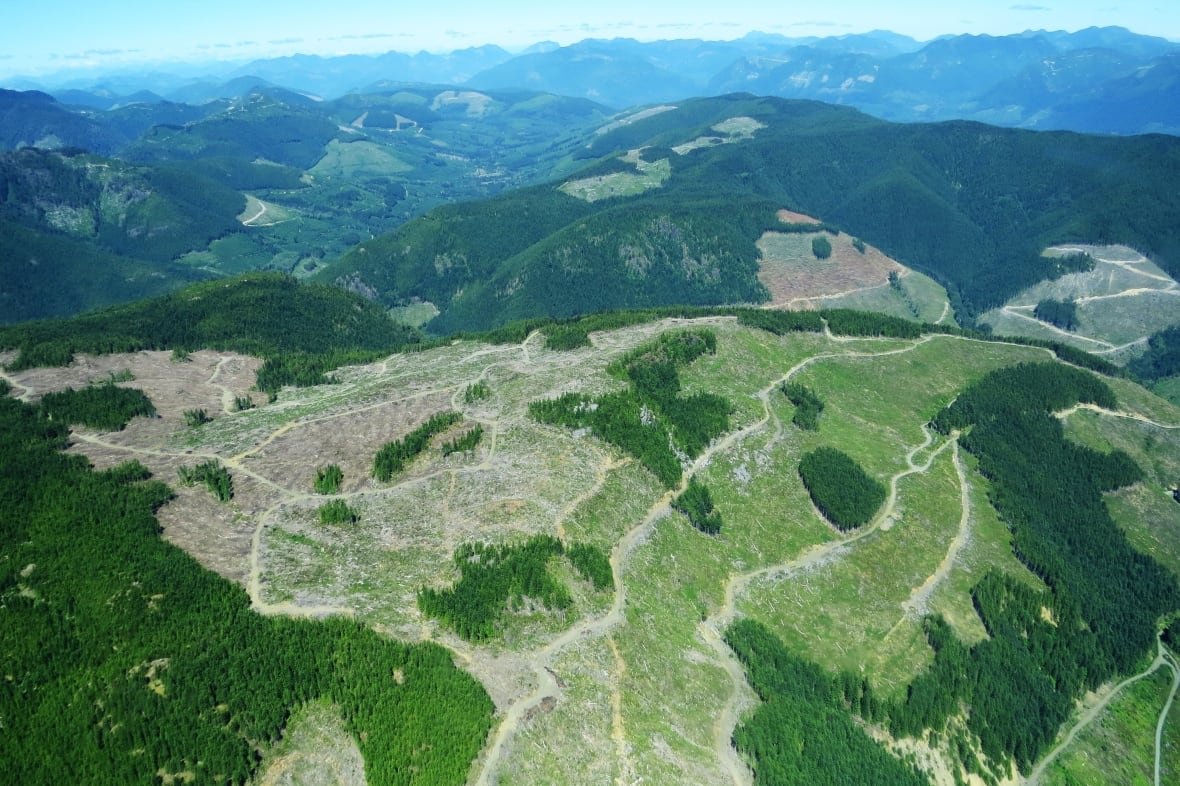 An aerial shot of extensive clearcuts near Cowichan Lake on Vancouver Island.
